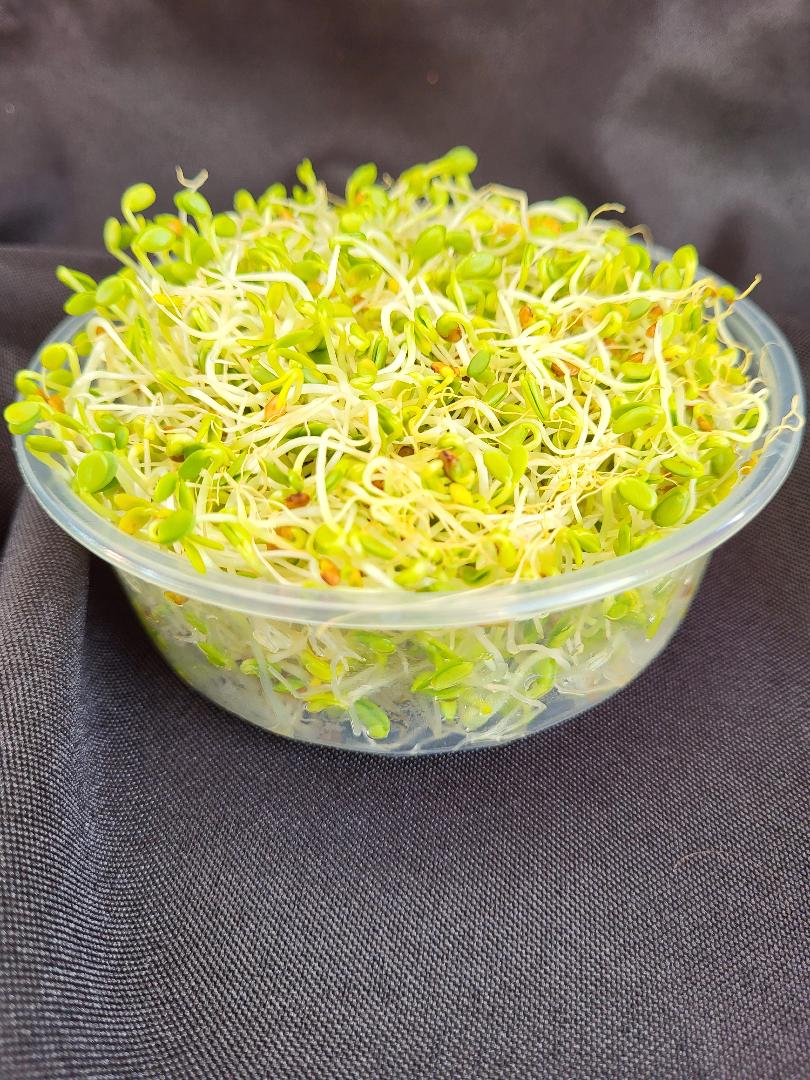 Sprouts, Clover 2.0 oz
