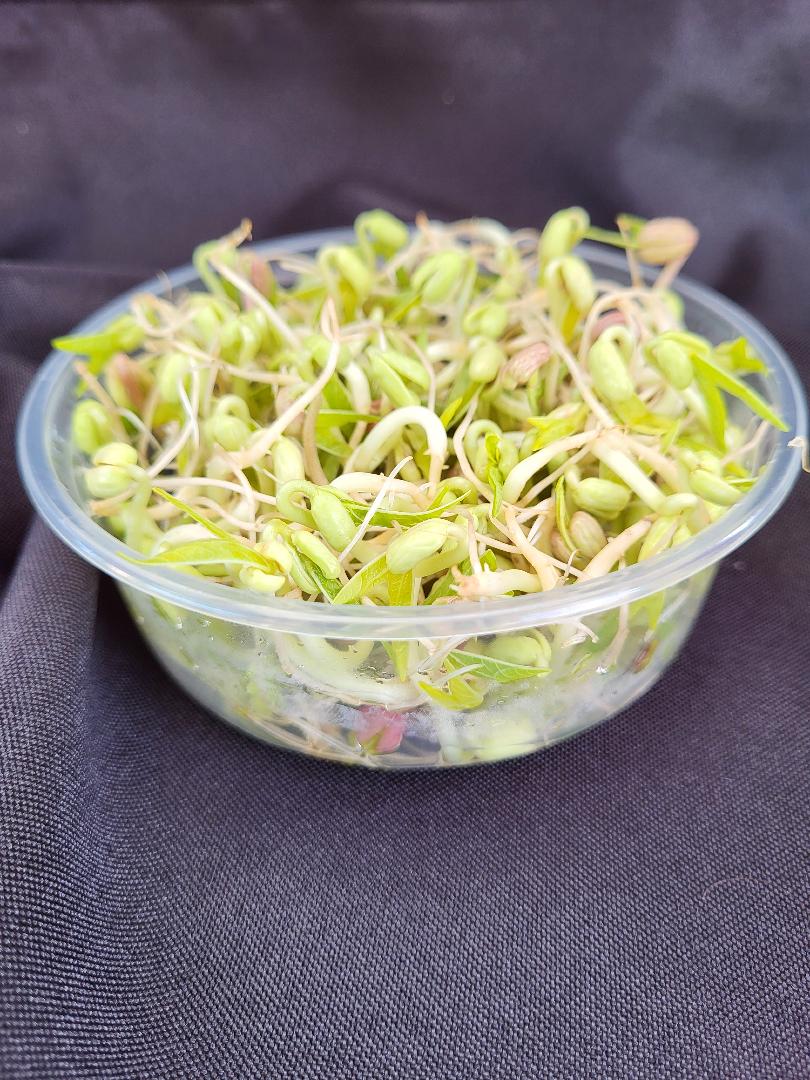Sprouts, Mung Bean  2.0 oz