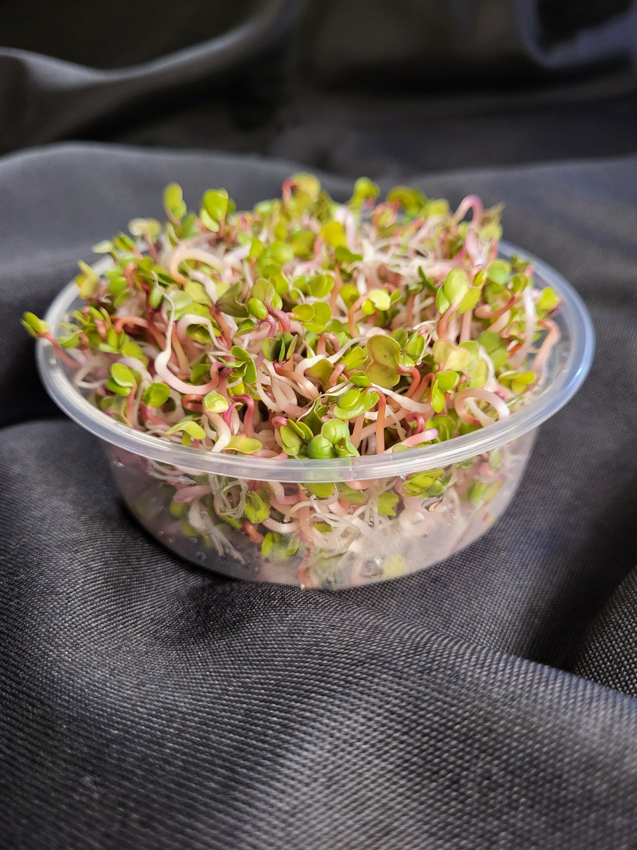 Sprouts, Radish 2.0 oz